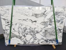 Suministro planchas pulidas 2 cm en mármol natural CALACATTA CORCHIA 1660. Detalle imagen fotografías 