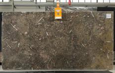 Suministro planchas pulidas 2 cm en mármol natural MARRON FOSSIL S0037. Detalle imagen fotografías 