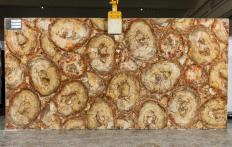 Suministro planchas 0.8 cm en piedra semi preciosa PETRIFIED WOOD BROWN TL0142. Detalle imagen fotografías 