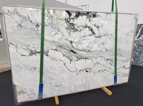 BRECCIA CAPRAIA TORQUOISEplancha mármol italiano pulido Slab #08,  290 x 190 x 2 cm piedra natural (vendida en Veneto, Italia) 