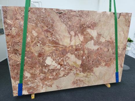 BRECCIA PERNICEplancha brecha italiana pulida Slab #01,  260 x 177 x 2 cm piedra natural (vendida en Veneto, Italia) 