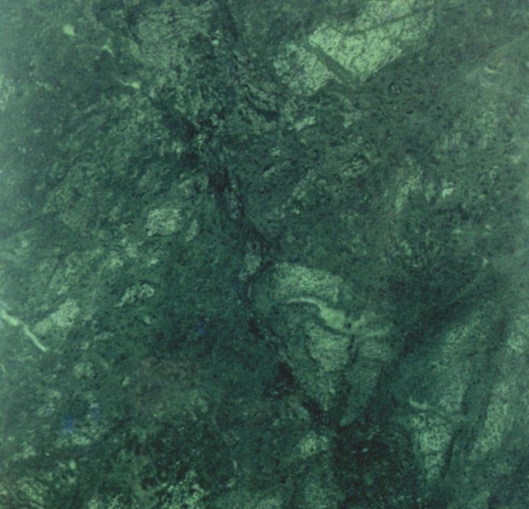 Detallo técnico: ARIHANT EMERALD GREEN, mármol natural pulido indiano 