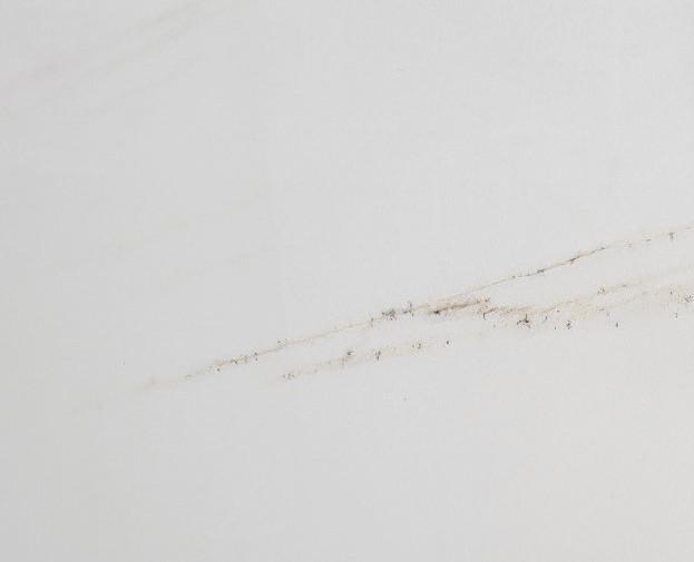 Producción planchas en mármol : White Spider