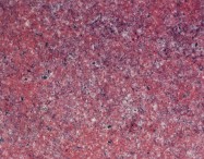 Detallo técnico: ROSE RED, granito natural pulido chino 