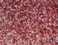 Detallo técnico: YINGJING RED, granito natural pulido chino 